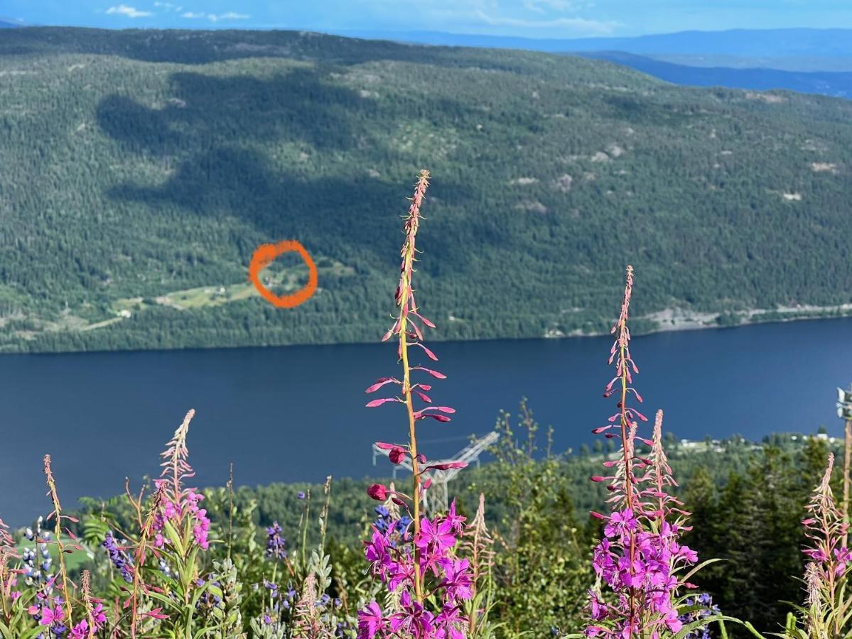 « Sofly Cottage », Le Charme Pur Noresund Exterior foto